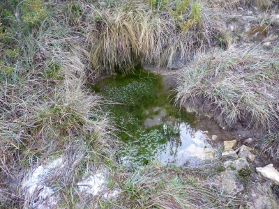 Fuente de las Cabras - imagen 3