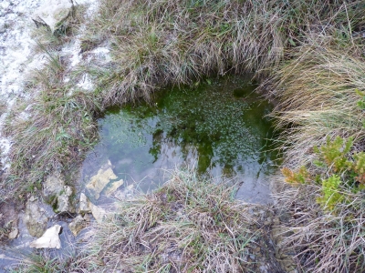 Fuente de las Cabras - imagen 4