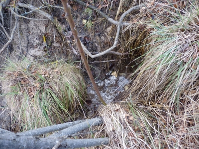 Fuente del Cañamar - imagen 3