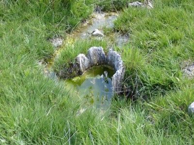 La Colmena de la Fuente de los Bujes - imagen 2