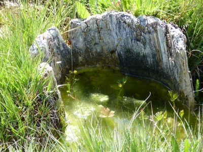 La Colmena de la Fuente de los Bujes - imagen 4