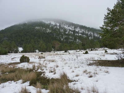 La Colmena de Prao Redondo - imagen 5
