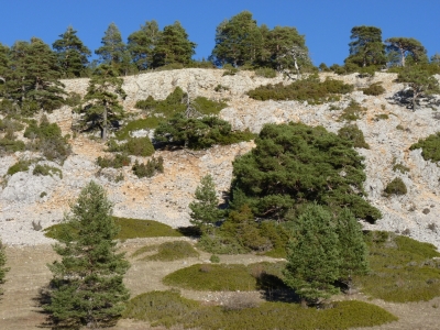 El Colmeno - imagen 8