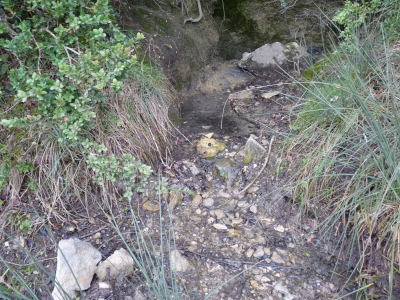 Fuente de la Cordillera - imagen 2