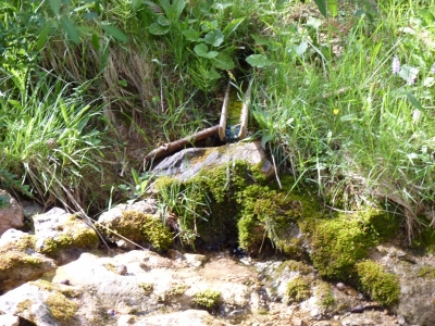 Fuente de los Curas - imagen 2
