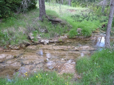 Fuente de los Curas - imagen 3