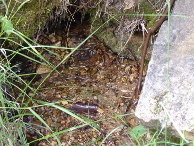 Fuente de los Curas - imagen 4