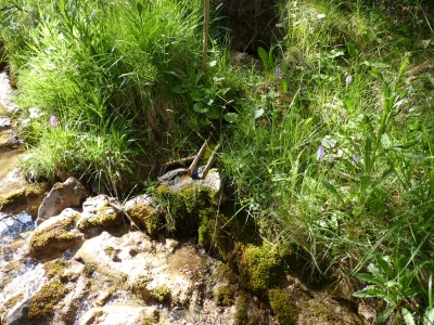 Fuente de los Curas - imagen 6
