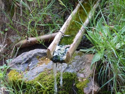 Fuente de los Curas - imagen 7