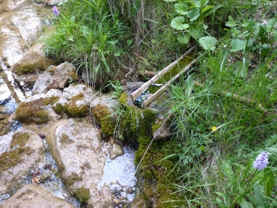 Fuente de los Curas - imagen 8