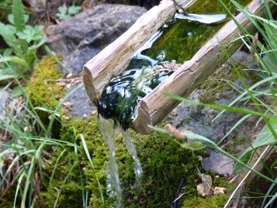 Fuente de los Curas - imagen 9
