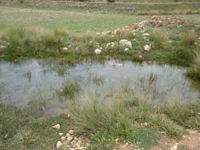 Fuente del Enebrillo - imagen 1