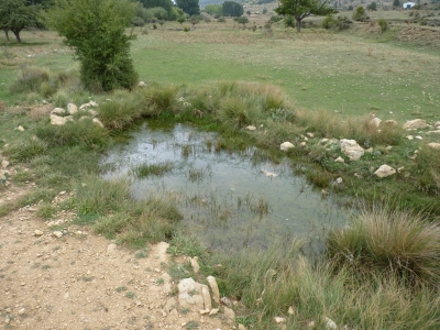 Fuente del Enebrillo - imagen 2