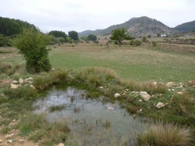 Fuente del Enebrillo - imagen 3