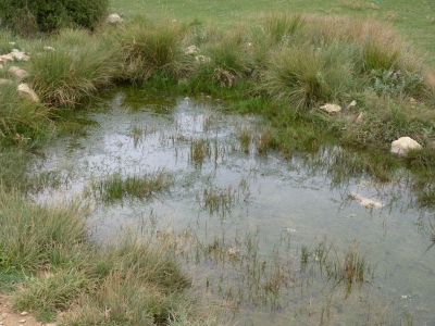 Fuente del Enebrillo - imagen 4