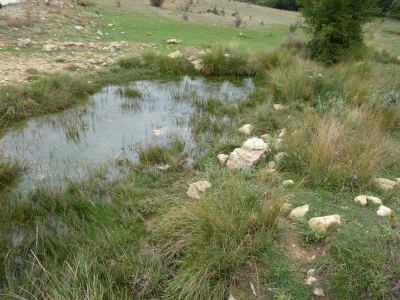 Fuente del Enebrillo - imagen 6