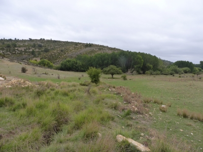 Fuente del Enebrillo - imagen 7