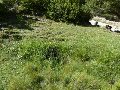 Fuente del Espolón - imagen 2