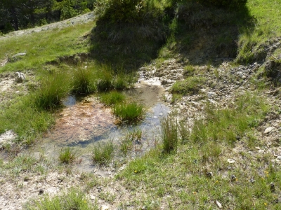 Fuente del Espolón - imagen 3