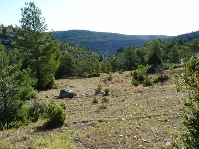 Fuente del Fontarrón - imagen 4