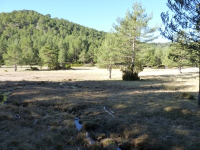 Fuente de la Hoya del Asno - imagen 8
