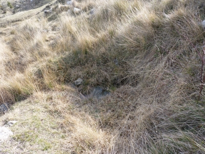 Fuente del Majadal de las Hoyuelas I - imagen 1