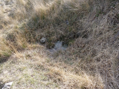 Fuente del Majadal de las Hoyuelas I - imagen 2