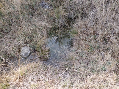 Fuente del Majadal de las Hoyuelas I - imagen 3