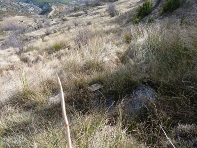 Fuente del Majadal de las Hoyuelas II - imagen 1