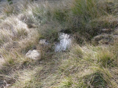 Fuente del Majadal de las Hoyuelas II - imagen 2