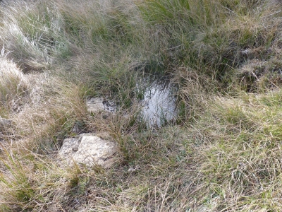 Fuente del Majadal de las Hoyuelas II - imagen 3
