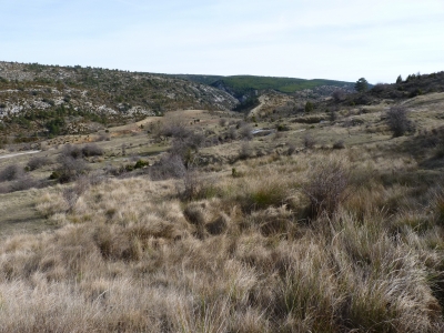Fuente del Majadal de las Hoyuelas II - imagen 6