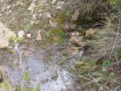 Fuente Mora - imagen 1
