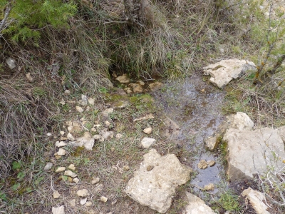 Fuente Mora - imagen 2