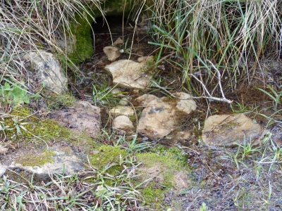 Fuente Mora - imagen 3