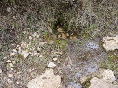 Fuente Mora - imagen 4