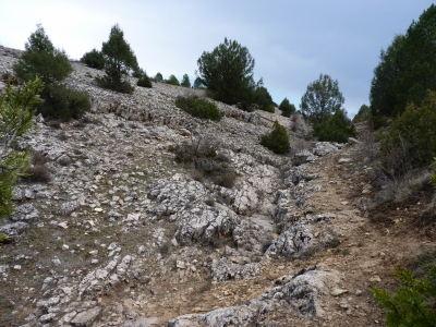 Fuente Mora - imagen 5