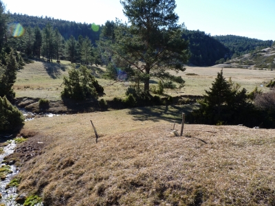 Fuente de la Nava I - imagen 4