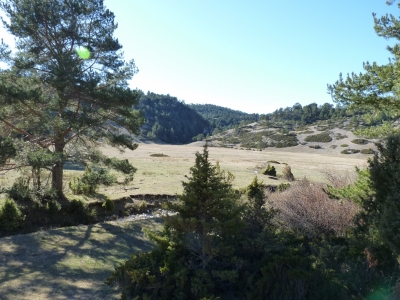 Fuente de la Nava I - imagen 10