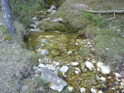 Fuente de la Nava II - imagen 6