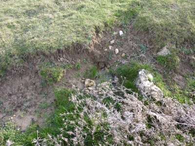 Fuente de las Palomas - imagen 1
