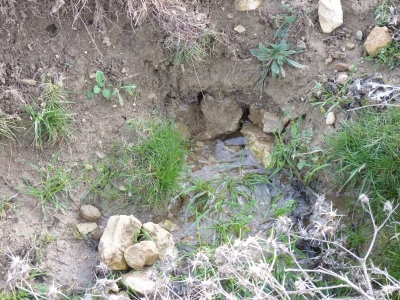 Fuente de las Palomas - imagen 4