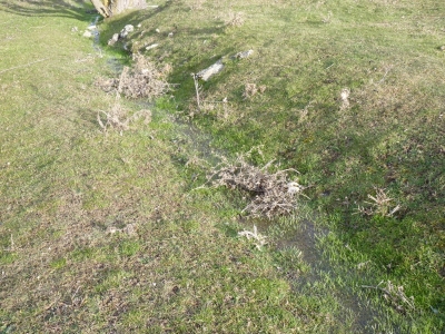 Fuente de las Palomas - imagen 5