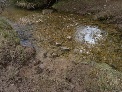 Fuente de los Pelaos - imagen 1