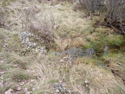 Fuente de Peña Blanca - imagen 1