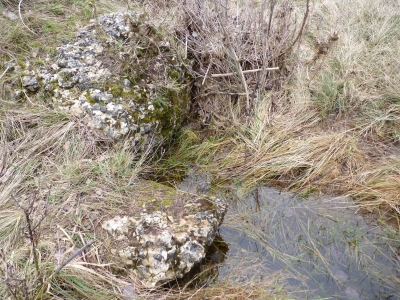 Fuente de Peña Blanca - imagen 2