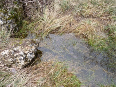 Fuente de Peña Blanca - imagen 3