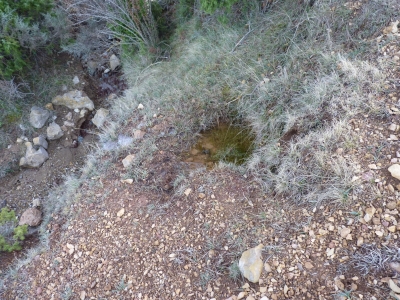 Fuente del Piojo - imagen 1