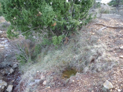 Fuente del Piojo - imagen 2