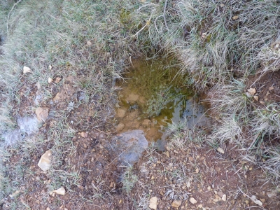 Fuente del Piojo - imagen 3